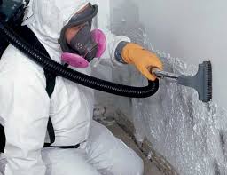 Environmental Consulting for Mold Prevention in Orange Beach, AL